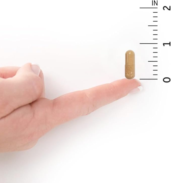 Garden of Life Prenatal Multivitamin - Image 7