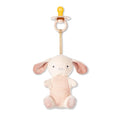 Itzy Ritzy Pacifier & Lovey Set by ItzyRitzy