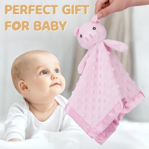 Pro Goleem Pig Loveys for Babies, Soft Security Blanket Baby Snuggle Toy - Image 3