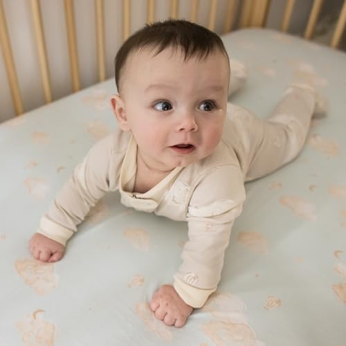 Burt’s Bees Baby Boys' One-Piece Sleep and Play 100% Organic Cotton PJs - Image 5