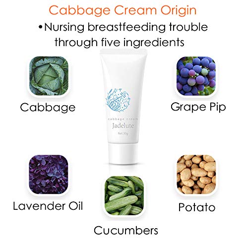 Cabbage Cream for Breast Engorgement, Clogged Ducts, Weaning and Mastitis | - Image 3