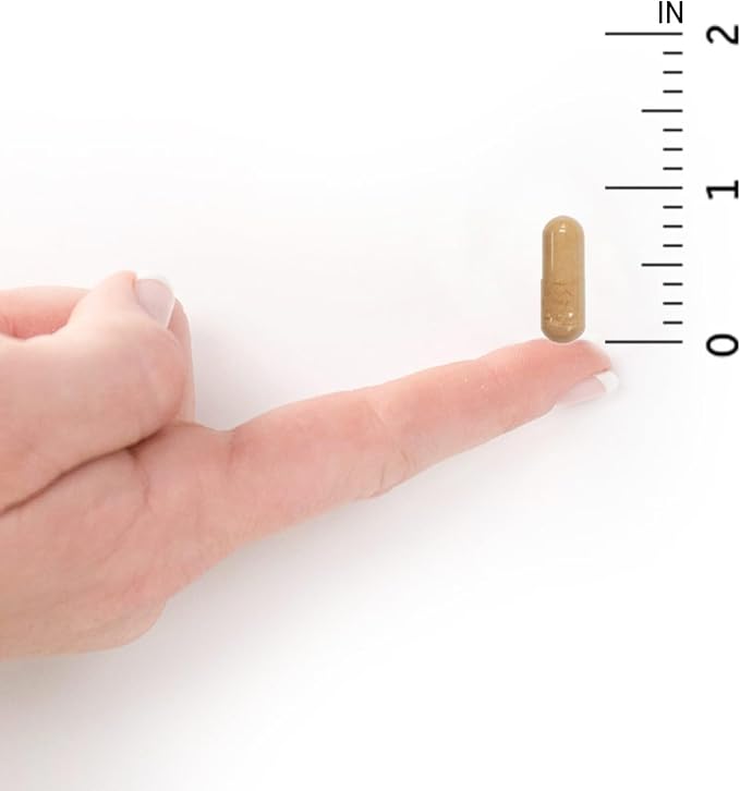 Garden of Life Prenatal Multivitamin - Image 8