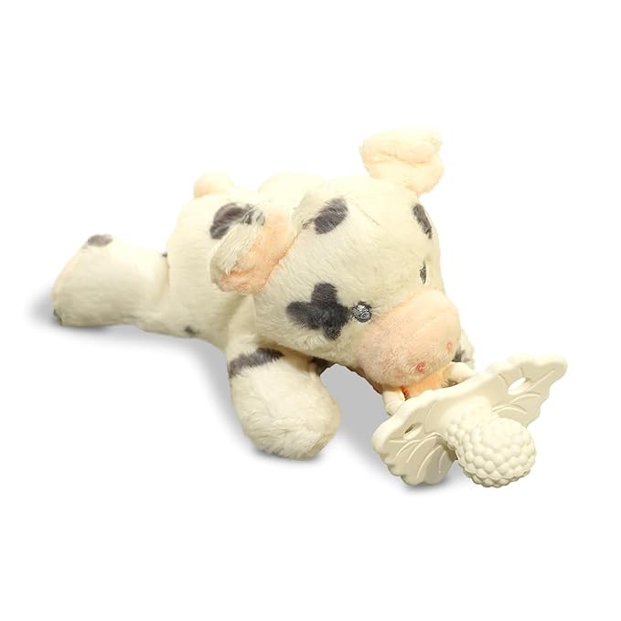 RaZbaby Pig RaZbuddy w/RaZberry Teething Relief Pacifier – Soothes Sore Gums by RaZbaby