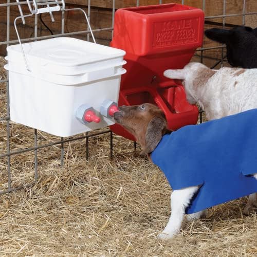 Premier 1 Shepherd's Choice Goat Kid Milk Replacer - 8 lb Bucket - Image 4