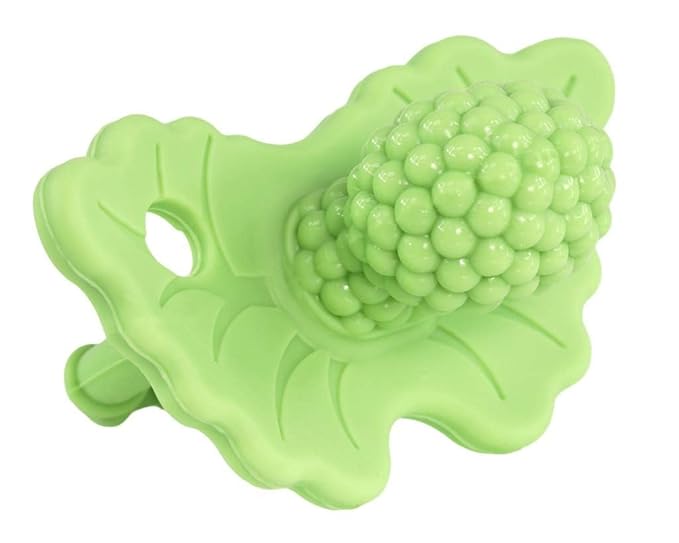 RaZbaby RaZberry Silicone Teether Pacifier – Teething Relief by RaZbaby