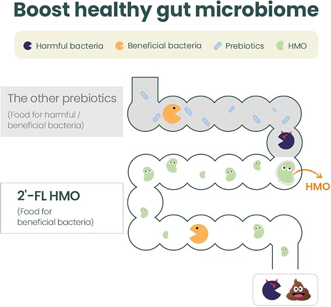 MOMSTAMIN 2'-FL HMO Prebiotics & Probiotics - Image 4