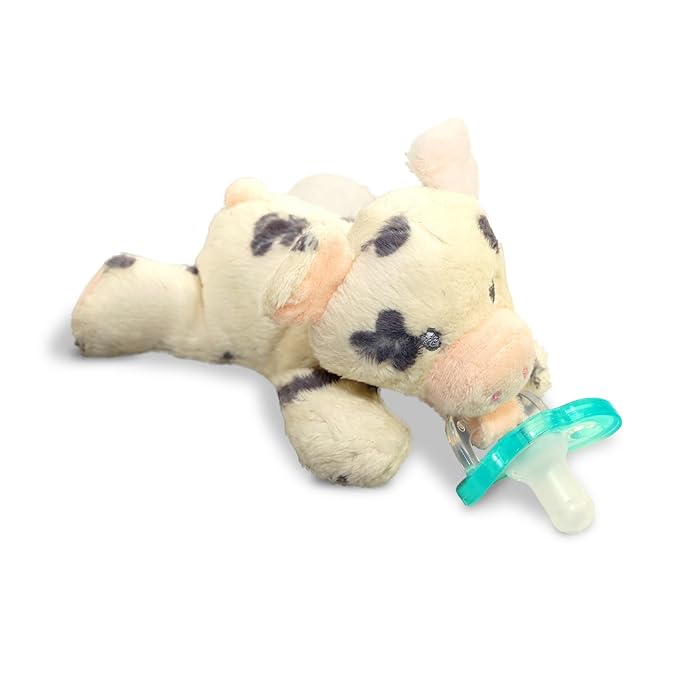 RaZbaby JollyPop Pacifier, Holder w/Detachable Baby Pacifier, Stuffed Animal by RaZbaby