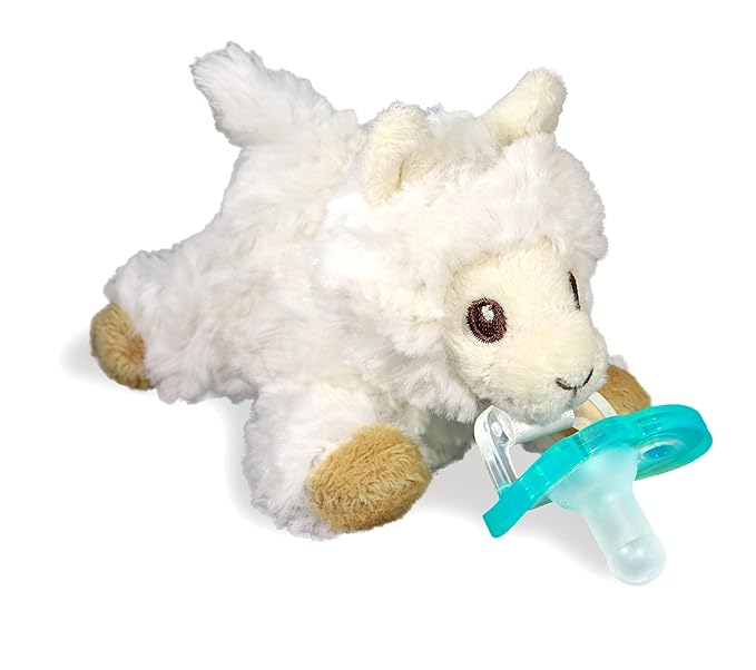RaZbaby JollyPop Pacifier, Holder w/Detachable Baby Pacifier, Stuffed Animal by RaZbaby