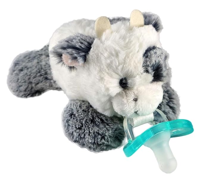RaZbaby JollyPop Pacifier, Holder by RaZbaby