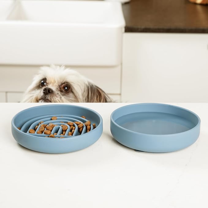 Should We Go? Slow Feeder for Dogs & Cats, The Slowdown Bowl Silicone Slow - Image 6