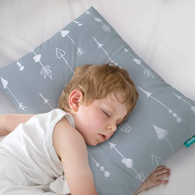 Toddler Pillow for Sleeping, Kid Pillow 14" x 19" for Small Travel Bed by Bilobanbabybedding