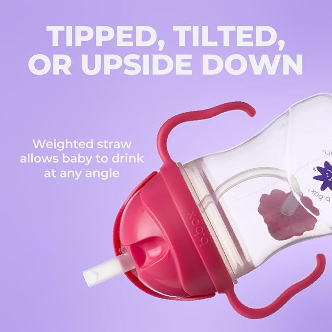 b.box + Lansinoh Weighted Straw Sippy Cup - Image 6