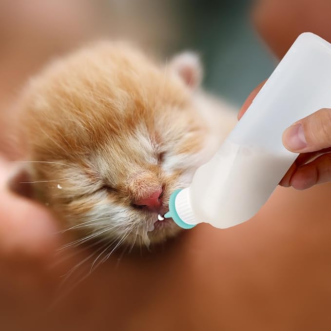 5Pack Kitten Bottle for Nursing Puppy Milk Kitten Bottles Feeding Kit Silicone - Image 8