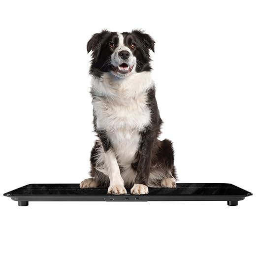 SIKE Medium-Small Veterinary Scale, Dog Scale Accuracy, Max 220lbs, Digital Pet - Image 3