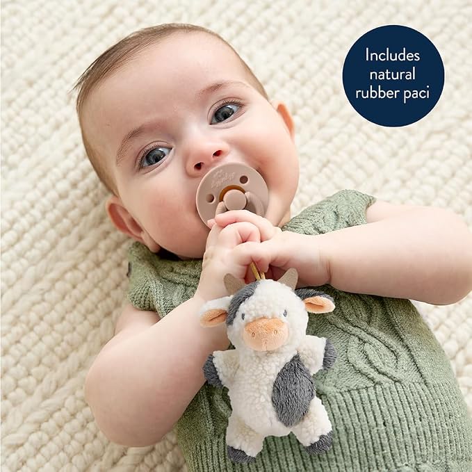 Itzy Ritzy Pacifier & Lovey Set - Image 2