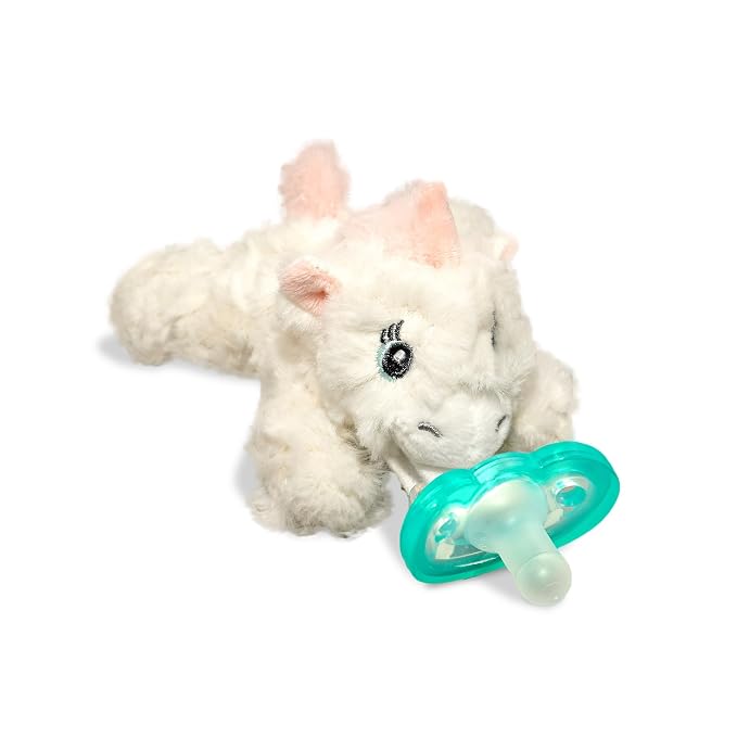 RaZbaby JollyPop Pacifier, Holder w/Detachable Baby Pacifier, Stuffed Animal by RaZbaby