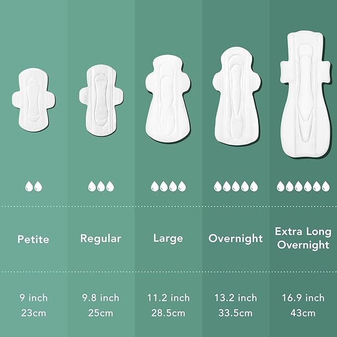 Rael Pads for Women, Organic Cotton Cover - Image 6