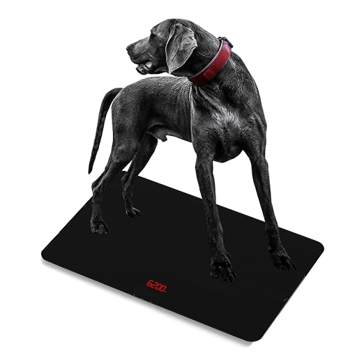 SIKE Medium-Large Breed Veterinary Scale, Dog Scale Accuracy, 32 x 20 inch by Helsevesen
