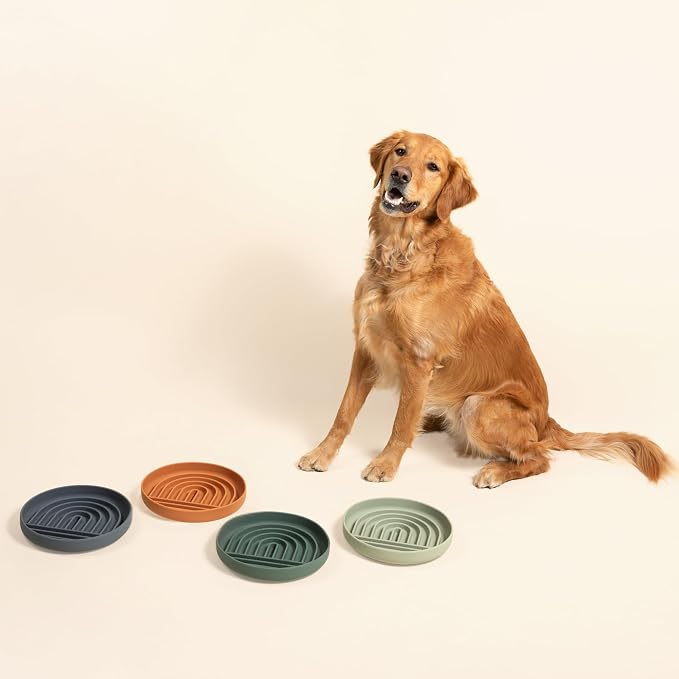 Should We Go? Slow Feeder for Dogs & Puppies, The Slowdown Bowl Silicone Slow - Image 8