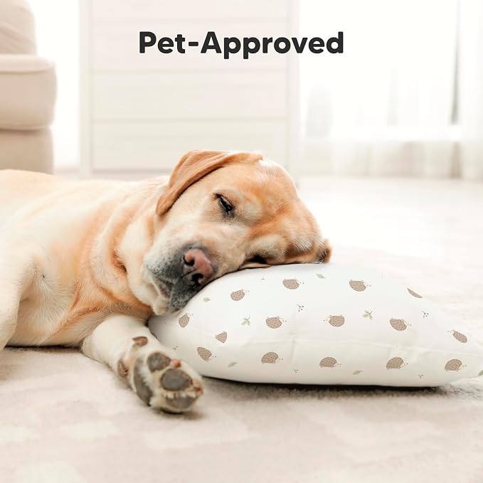 Toddler Pillow with Pillowcase - Image 8