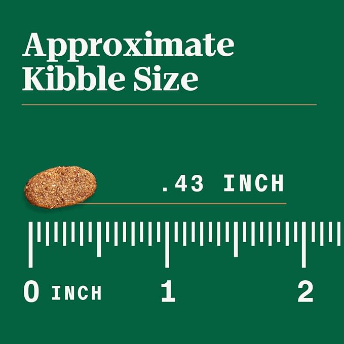 Nutro Ultra High Protein Dry Puppy Food, Trio of Proteins from Chicken - Image 11