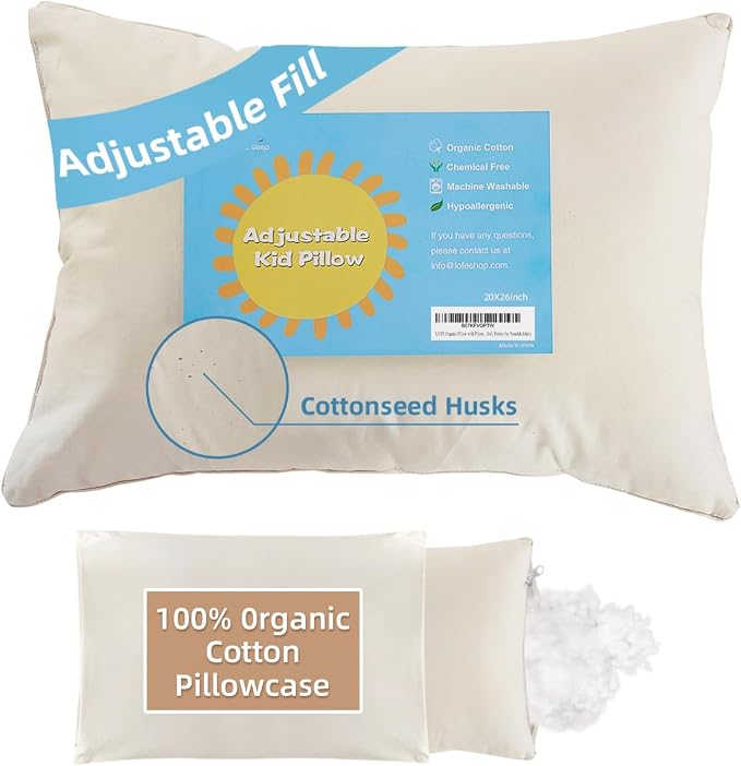 LOFE Organic Pillow with Pillowcase by Lofe
