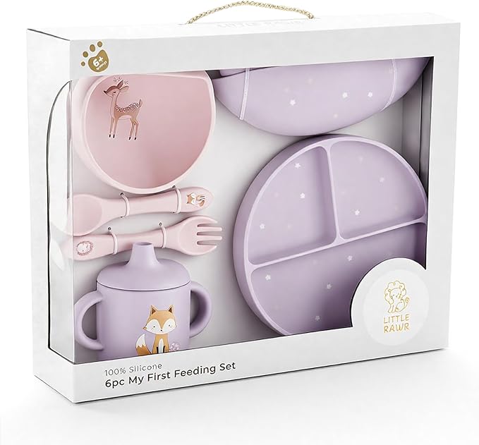 Little Rawr Baby Led Weaning Bundle, 100% Silicone Baby Feeding Set Includes by LITTLERAWR