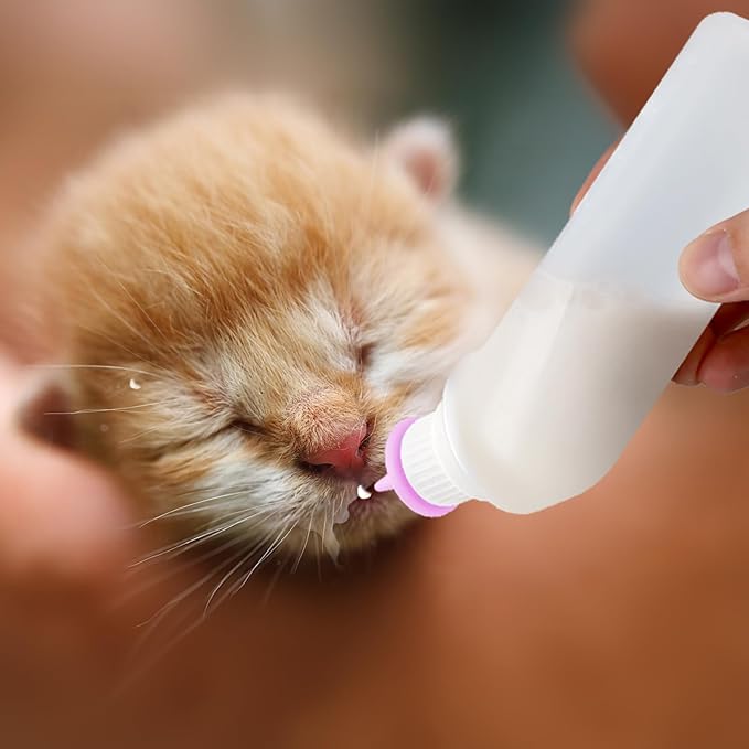 5Pack Kitten Bottle for Nursing Puppy Milk Kitten Bottles Feeding Kit Silicone - Image 8