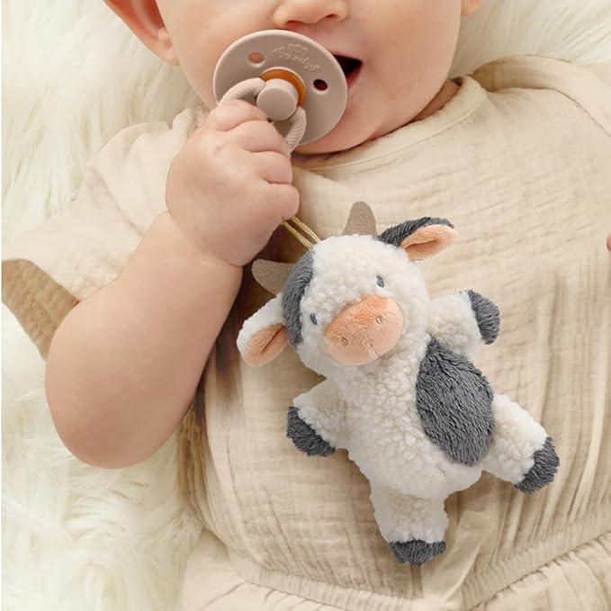 Itzy Ritzy Pacifier & Lovey Set - Image 3