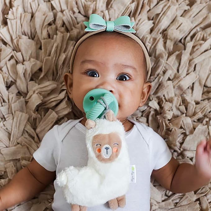 Itzy Ritzy Pacifier & Lovey Set - Image 5