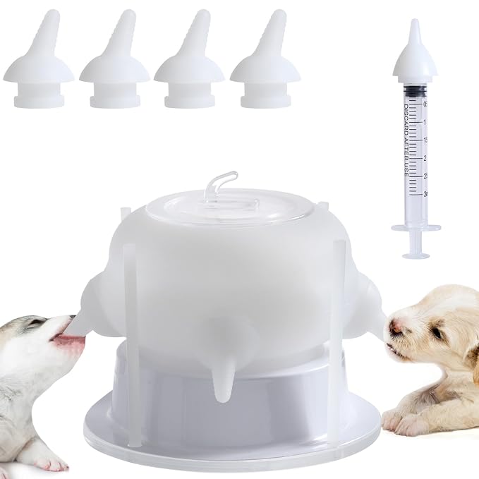 Nursing Nipple for Kittens, Nursing Nipple by Unknown