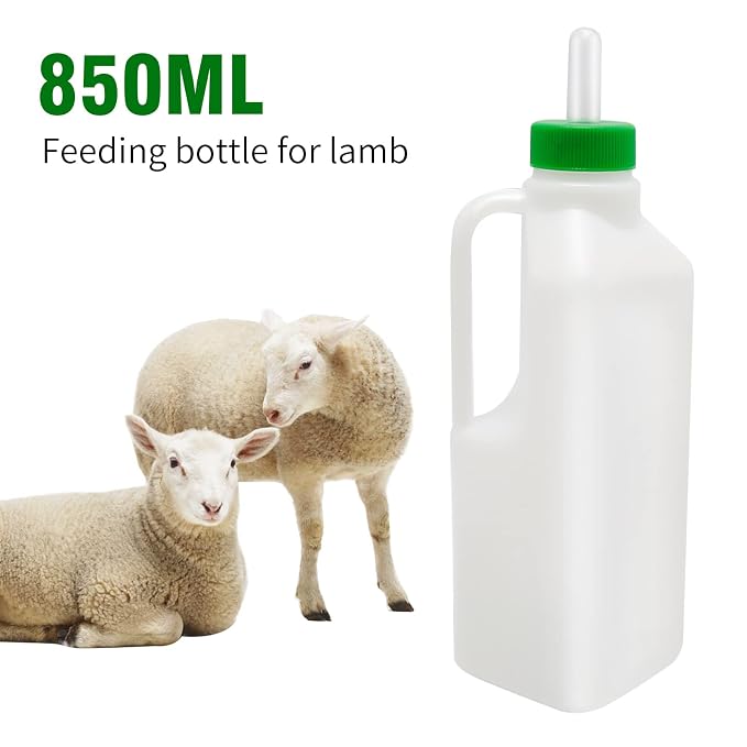 850ML Animal Feeding Bottle - Image 2