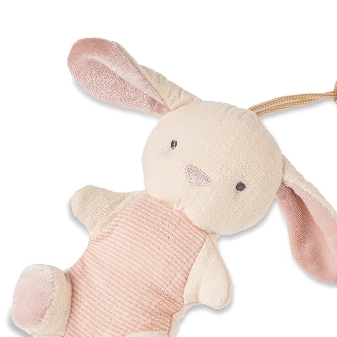 Itzy Ritzy Pacifier & Lovey Set - Image 2