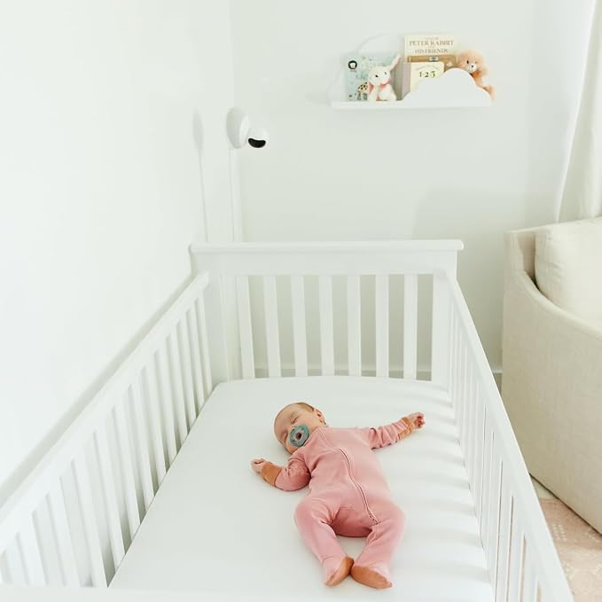 Parent Pacis) - Image 2