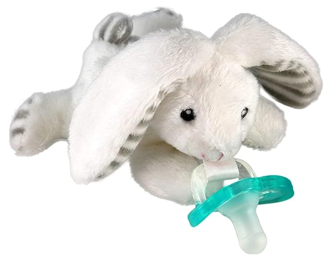 RaZbaby JollyPop Pacifier, Holder by RaZbaby