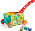Musical Push Walker Toy for Toddlers 18+ Months by Unknown