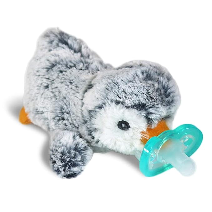 RaZbaby RaZbuddy JollyPop Pacifier Holder w/ Removable Baby Pacifier - 0m+ - by RaZbaby