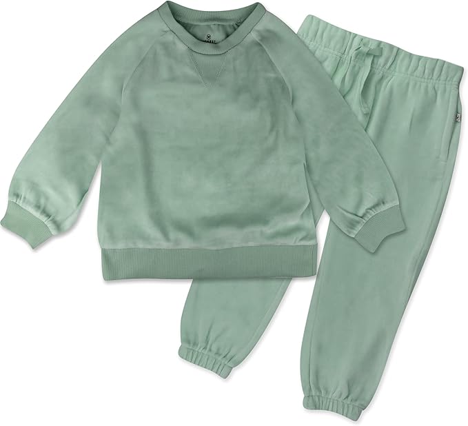HonestBaby Baby 2-Piece Cozy Velour 100% Organic Cotton Sweatshirt and Jogger by HonestBaby