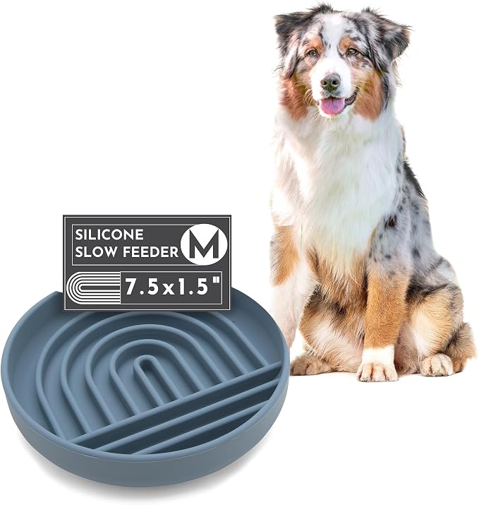 Should We Go? Slow Feeder for Dogs & Puppies, The Slowdown Bowl Silicone Slow by ShouldWeGo
