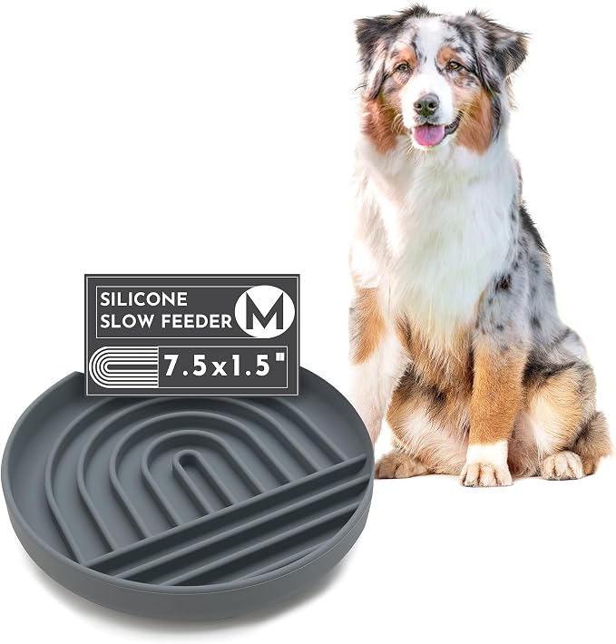 Should We Go? Slow Feeder for Dogs & Puppies, The Slowdown Bowl Silicone Slow by ShouldWeGo