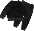 HonestBaby Baby 2-Piece Cozy Velour 100% Organic Cotton Sweatshirt and Jogger by HonestBaby