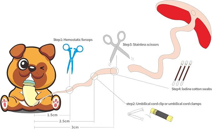 Puppy Kitten Whelping Kit, Essentials Kit - Image 7