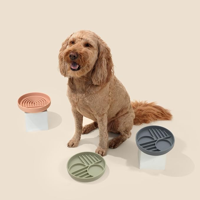 Should We Go? Slow Feeder for Dogs & Puppies, The Slowdown Bowl Silicone Slow - Image 5
