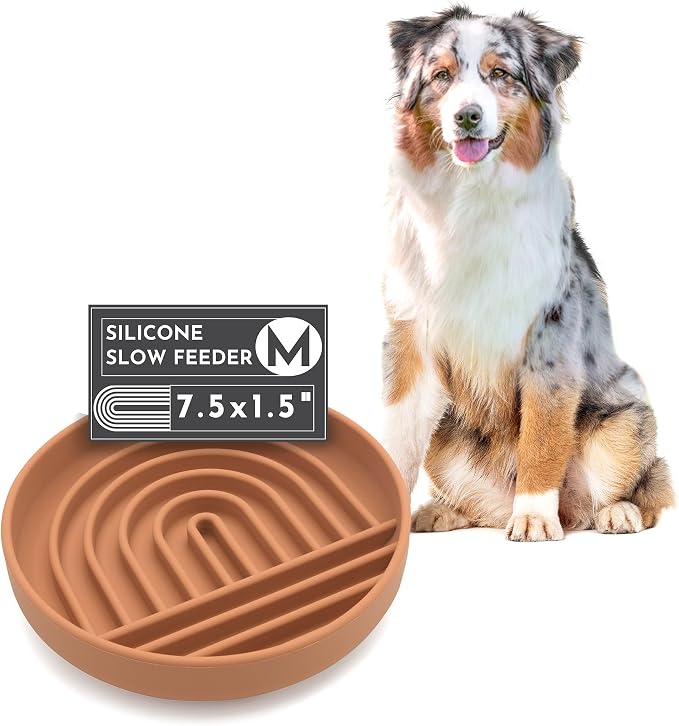 Should We Go? Slow Feeder for Dogs & Puppies, The Slowdown Bowl Silicone Slow by ShouldWeGo