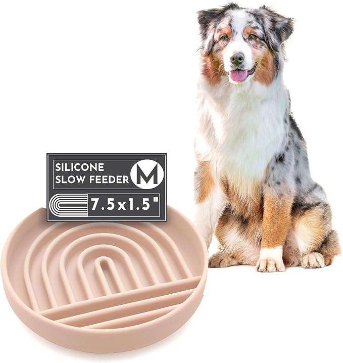 Should We Go? Slow Feeder for Dogs & Puppies, The Slowdown Bowl Silicone Slow by ShouldWeGo