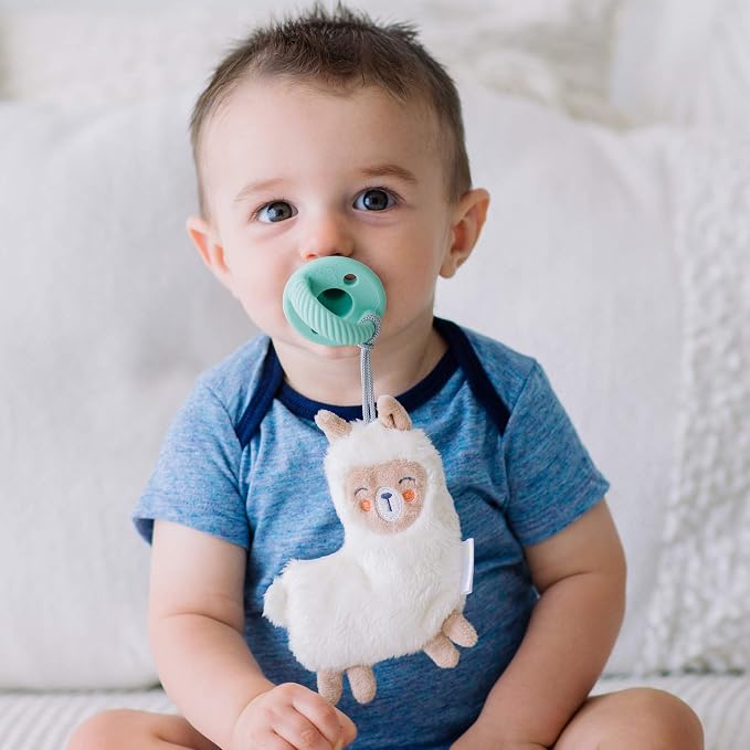 Itzy Ritzy Pacifier & Lovey Set - Image 3