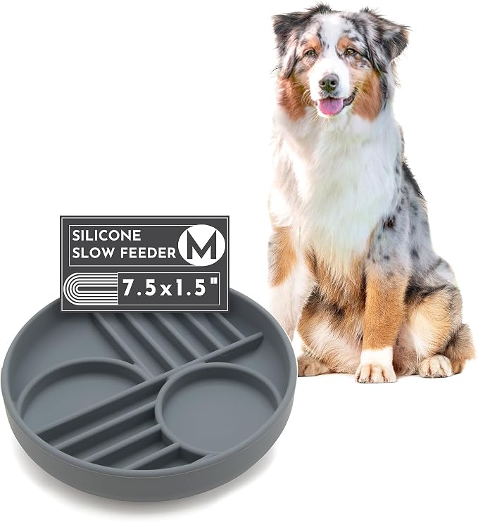 Should We Go? Slow Feeder for Dogs & Puppies, The Slowdown Bowl Silicone Slow by ShouldWeGo
