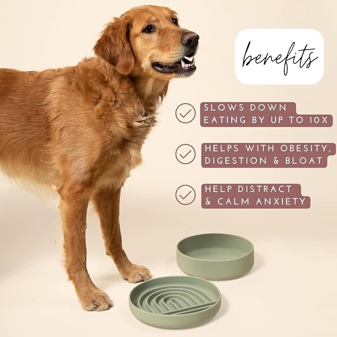 Should We Go? Slow Feeder for Dogs & Puppies, The Slowdown Bowl Silicone Slow - Image 2