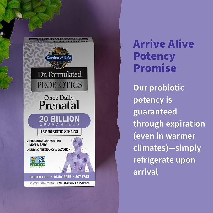 Garden of Life Dr. Formulated Probiotics Once Daily Prenatal - Image 2