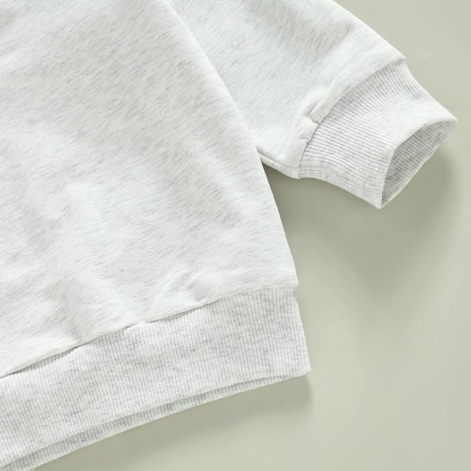 Toddler Baby Boy Clothes Solid Color Long Sleeve Crewneck Sweatshirt Top Casual - Image 4